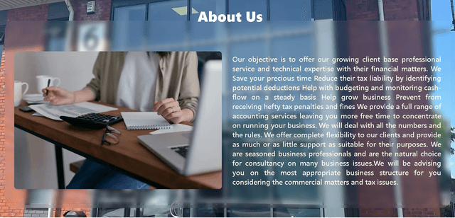 screenshot of "Accounting site